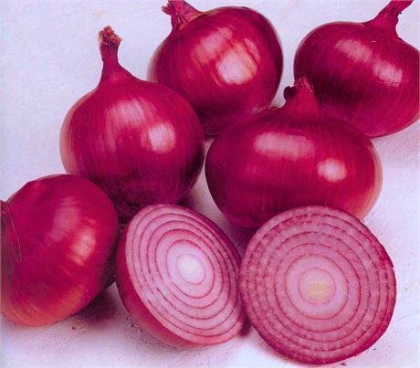 ሽንኩርት 1ኪግ/Onion 1kg